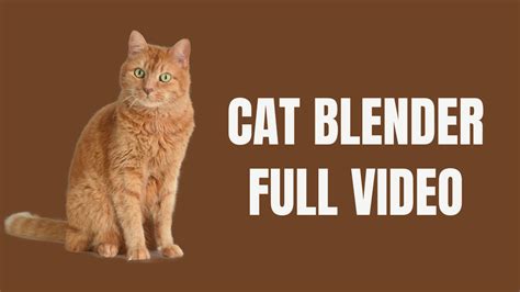 cat blender footage|The ‘Cat In Blender’ Video: A Disturbing Tale Of。